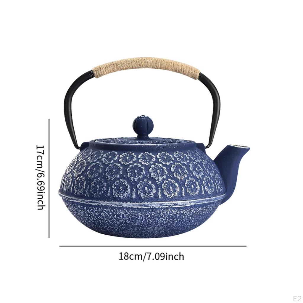 Japanese Cast Iron Teapot Tetsubin Tea Pot for Boiling Water Internal Enamel 900ml