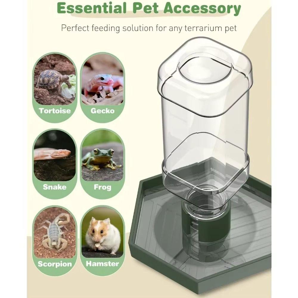 Stable Turtle Water Bowl Anti-slip Automatic Water Dispenser Lizard Food Feeder for Amphibians