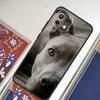 Питбуль Прекрасная Собака Питбуль Чехол Для Xiaomi 14T Pro 11T 12T 13T 13 14 15 Ultra Чехол Для POCO F7 F5 F6 X3 X5 X6 X7 Pro
