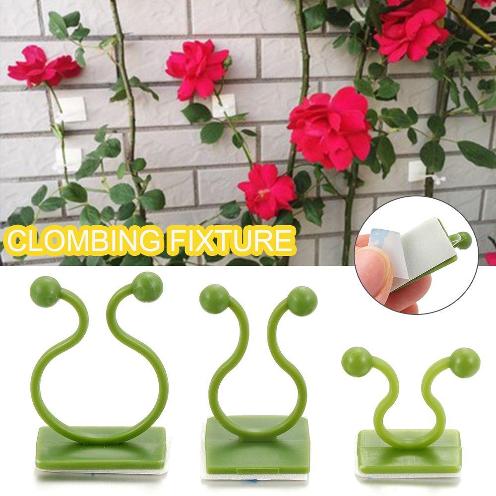 10PCS Hook Greenhouse Bracket Plants Holder Plant Clip Wall Sticky Hook Wall Vines Rattan Clamp