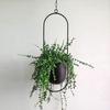 Modern Wall & Ceiling Home Decoration Swinging Hanging Basket Planter Flower Pot Plant Pot