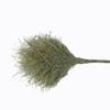 Keliweiyin Bamboo Broom