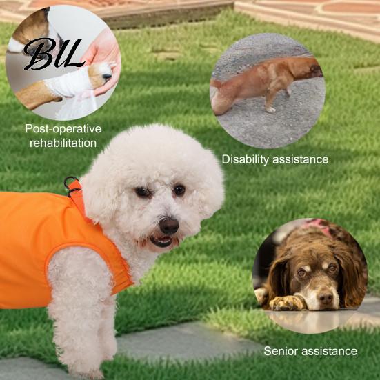 Senior Dog Mobility Aid for Stairs Lift Harness, Padded Sling Harness with Handles, Adjustable Full-Body Assisted Walking Weak Legs Support Back Legs,
