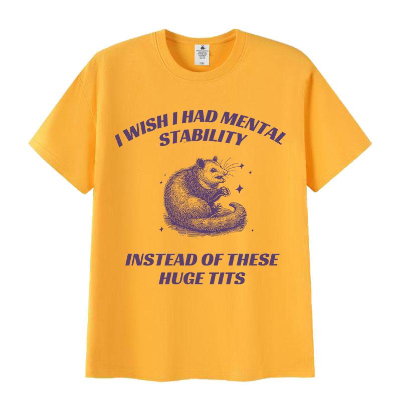 Funny I Wish I Had Mental Stability Racoon Meme T Shirts Men Women's Casual High Quality Oversized Cotton T-shirt Harajuku Tops