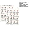 2 Sheets Seated Core Exercise Poster, Chair Workout Chart for Abs, Home Gym Wall Art, Strength Training Guide for Seniors
