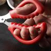 Seafood Scissors Lobster Fish Prawn Peeler Shrimp Crab Seafood Scissors Shears
