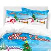 Christmas Gift 3D Digital Printing Quilt Cover Three-Piece Set
