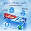Colgate Icy Fresh Toothpaste Family Pack