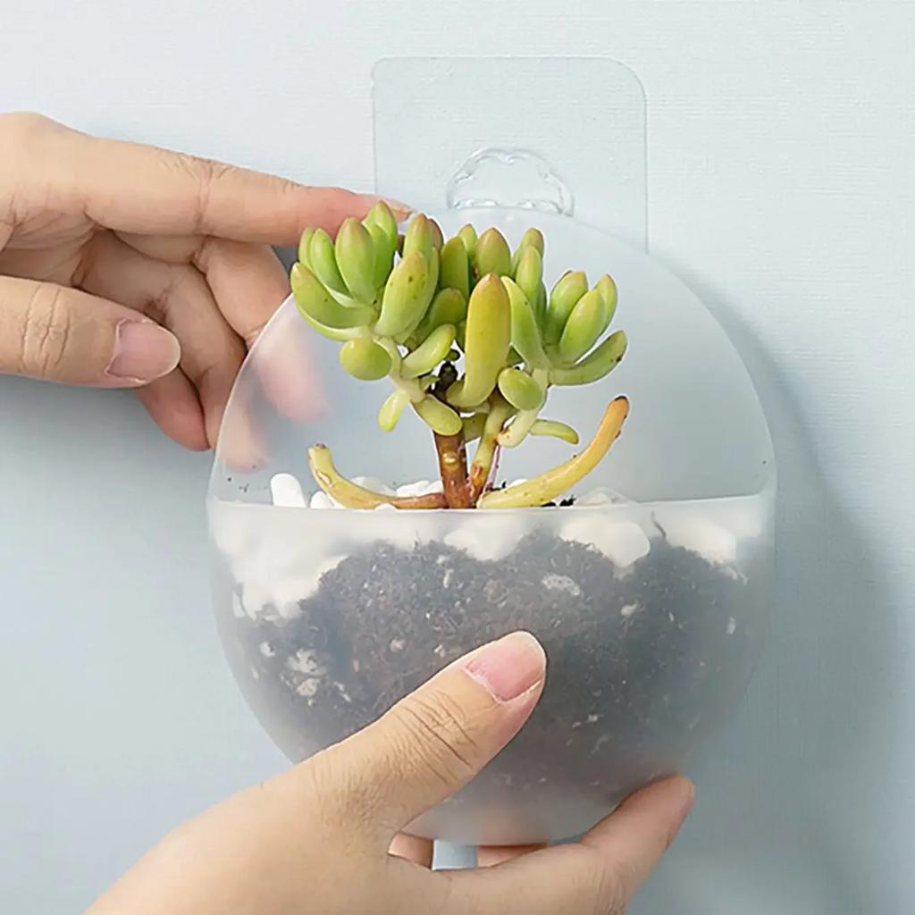 1 шт., Домашняя гидропоника, настенный цветочный горшок, настенный тип, пластиковая бутылка для цветов, настенный зеленый морковный подвесной цветочный горшок