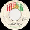 7-дюймовая пластинка U.U. MADOO & PAPA SAN / FIREHOUSE C - Fi Mi Time Come / Fi Mi Time In Dub НЕТ Jamaazima 1990 Япония Регги, Ска и Даб Б/У