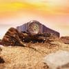Casio Мужские часы G-SHOCK из нержавеющей стали, водонепроницаемость 200 м, аналогово-цифровые, ударопрочные, кварцевые, GM-2100CL-5A