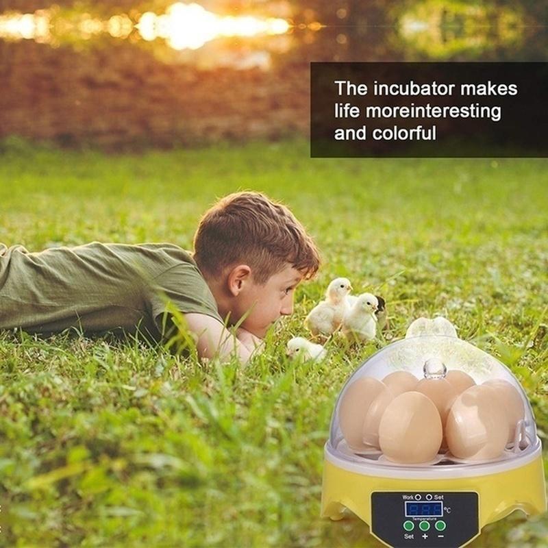 7 Pcs Eggs Incubator Capacity Incubator Brood Machine Chicken Duck Egg Hatcher Electronic Automatic Incubator Chicken Duck Bird Pigeon