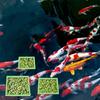 Набор из 5 плавающих колец-держателей для водных растений, колец для кормления рыбы, квадратных и круглых, для аквариумов, принадлежности для выращивания растений