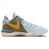 Nike Кроссовки Zoom LeBron NXXT Gen EP Мужские Синий оттенок DR8788-400