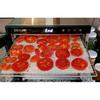 Silicone Dehydrator Sheets, Premium Non Stick Dehydrator Mats, Fruit Dryer Mesh for Food Dehydrator, 6pc, 12 x 13 inch
