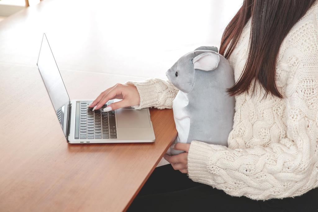 Tsumande Animals USB Plush Warmer [Chinchilla GY] (7193TSU004)