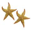 2Pcs Dried Starfish Sea Star Beach Craft Wedding Party Home Decoration