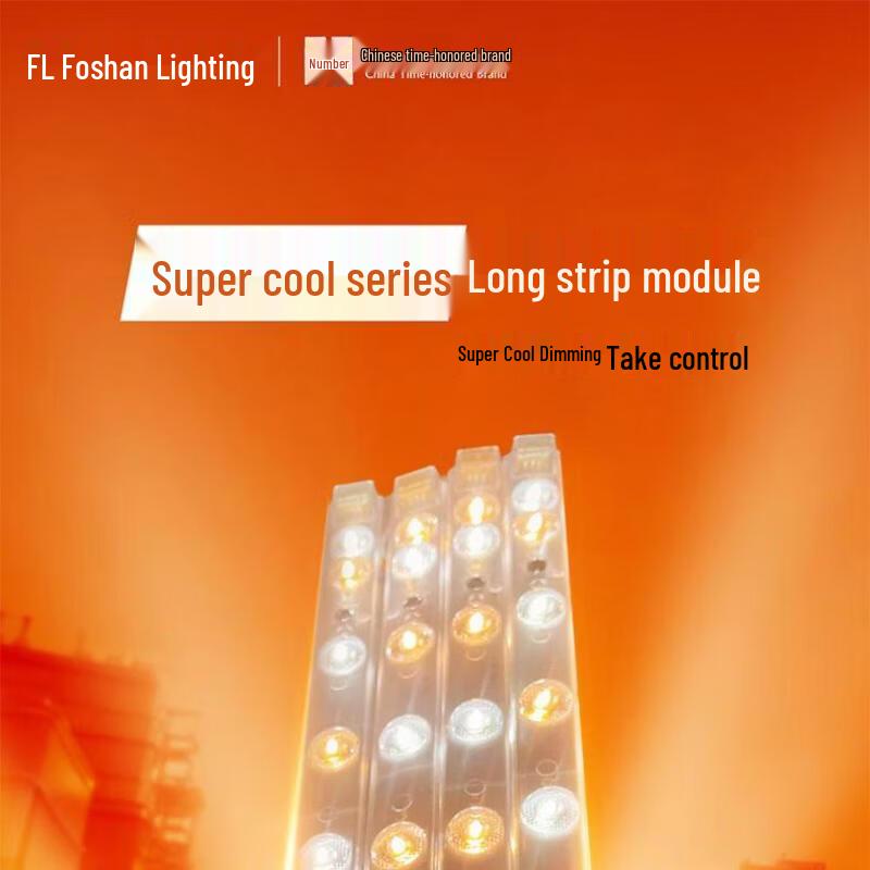 FSL LED Ceiling Lamp Core Module