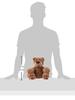 GUND Graham Bear S 6050659