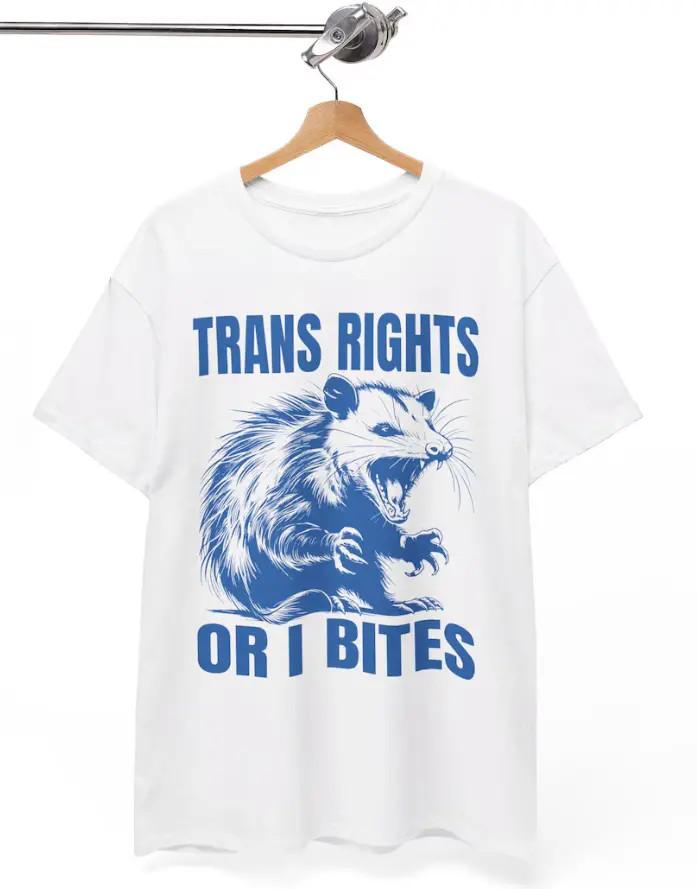 Trans Rights ShirtFunny Lgbtq prideRainbow Pride TeeFunny queer shirts