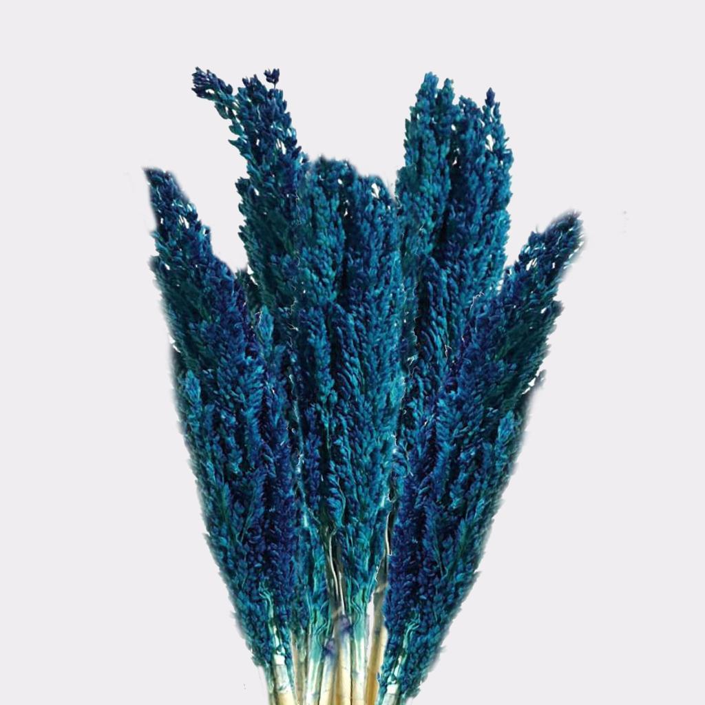 Cantal Grass Bunch Blue 6 Pack