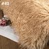 6 см Длинношерстный Плюш Имитация Овечьей Шерсти Меховая Ткань Кудрявая Шерсть Ягненка Кашемировый Флис Ткань Для DIY Одежды Куклы Пальто Коврики Зима