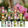 Special Plants Spray Fertilizer Mist For Home Gardening Gentle Blend Mist For Healthy Leaves