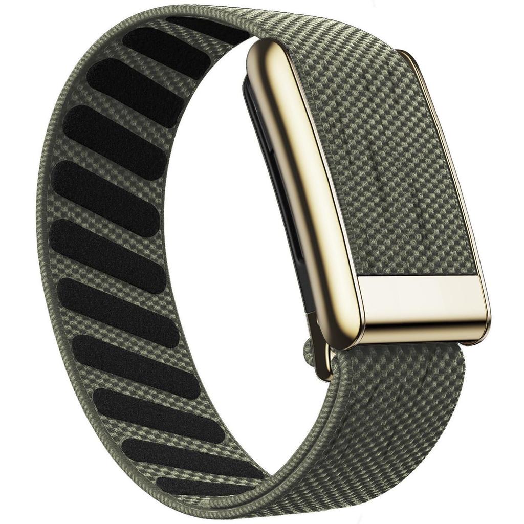 Whoop 5.0 Nylon Elastic Sport Band with Shiny Metal Frame (Gold/Silver)