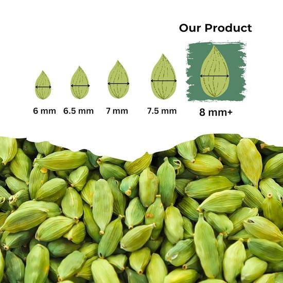GOURMET HEALTH IMPRESSIONS Superior Grade Whole Green Cardamom (Elaichi) 50g - 8MM BOLD Size | Large Size | Aromatic Green Pods