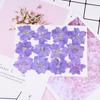 12Pcs Dried Flowers Epoxy Resin DIY Creation Long-lasting Dried Pressed Flowers for Bookmark