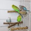 6 шт. подставка для попугаев с трапецией, 2 жердочки для попугаев и круглые платформы, подставка для птиц из натурального дерева для маленьких волнистых попугайчиков