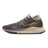 React Pegasus Trail 4 GORE-TEX Earth Dark Stucco мужские кроссовки коричневые Sanddrift HF5707-201