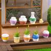 Micro-landscape Multi-colored Patterned Vases Potted Plants Dollhouse Decorative Accessories Mini Desktop Small Ornaments