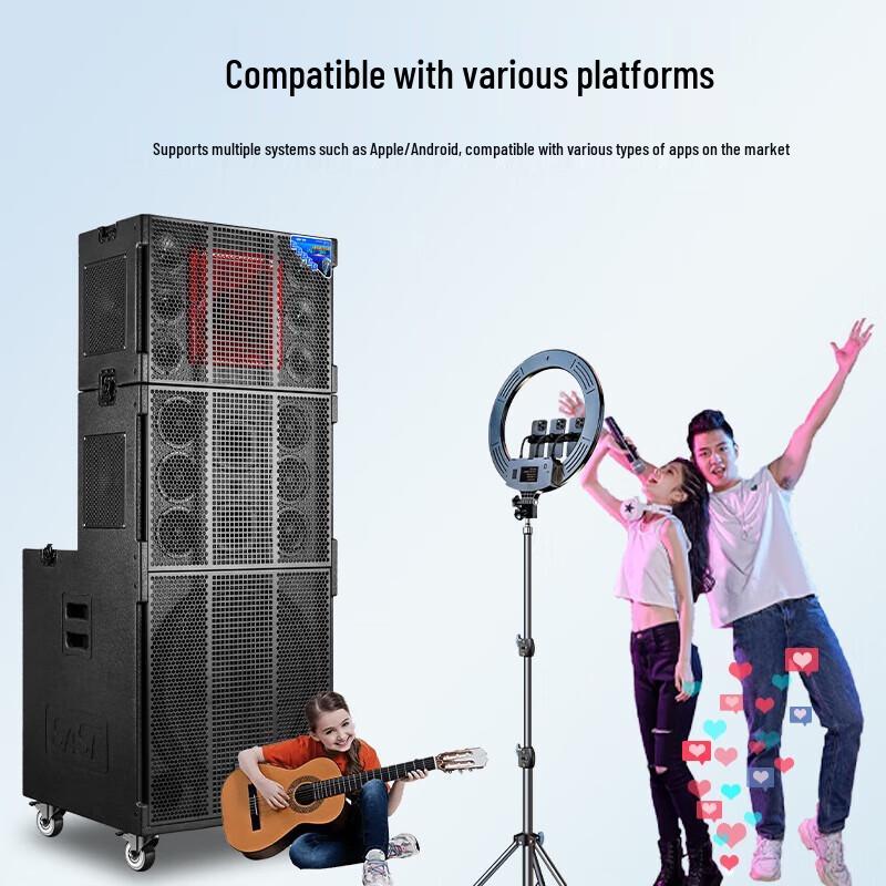 SAST SD-25 Professional Line Array Stage Sound System