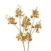 Small Butterfly Orchid Simulation Mini Orchid Real Touch Fake Flower Branch  Gift