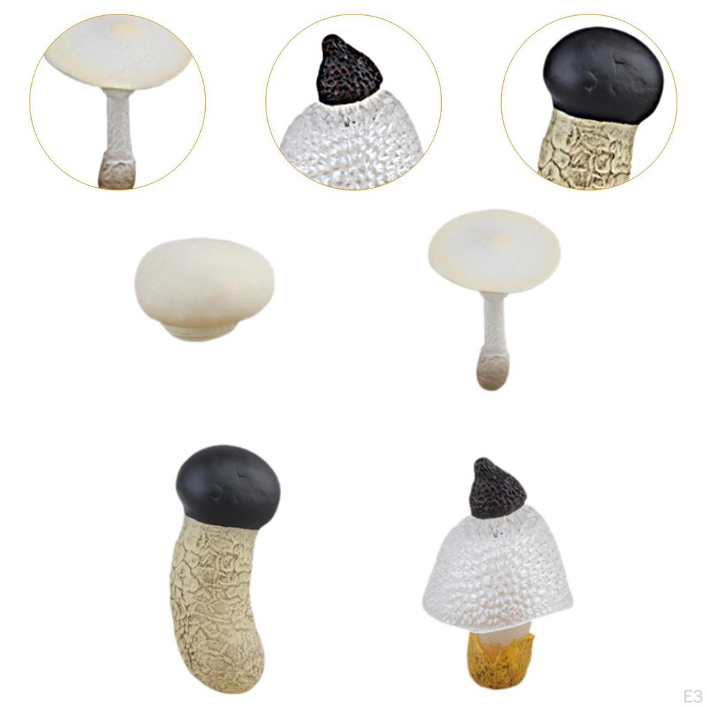 Children's Mushroom Development Stages Toy Set for Interactive Learning