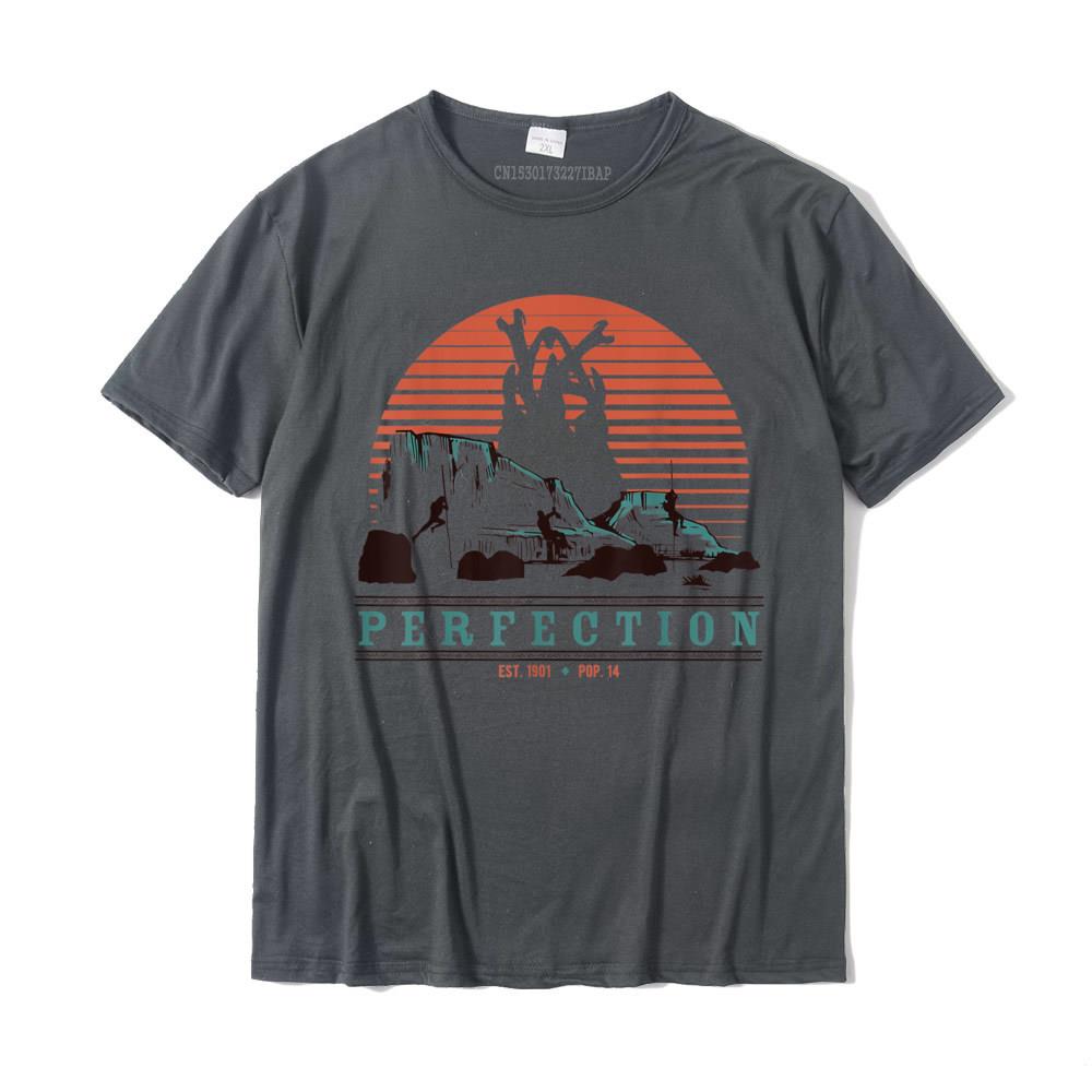 Tremors Perfection Sunset Logo TShirt Top Tshirts for Men Normal Tops Shirt Christmas Day Funny cosie Cotton