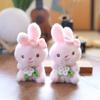 Plush Bunny Keychain With Pp Cotton Filling For Kids And Collectors
