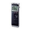 Panasonic IC Recorder (black) RR-XS370-K