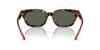 Sunglasses 0EA4233U HAVANA BROWN 53 [Emporio Armani]