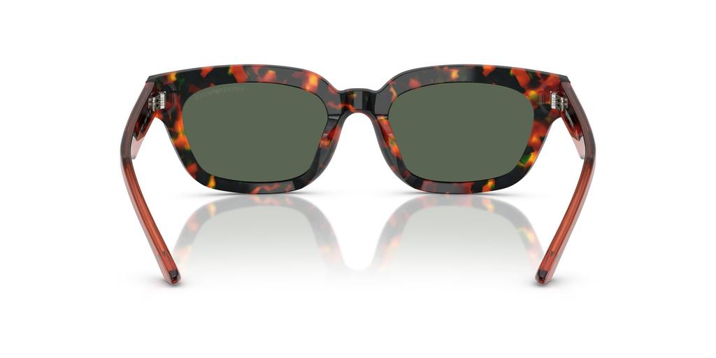 Sunglasses 0EA4233U HAVANA BROWN 53 [Emporio Armani]