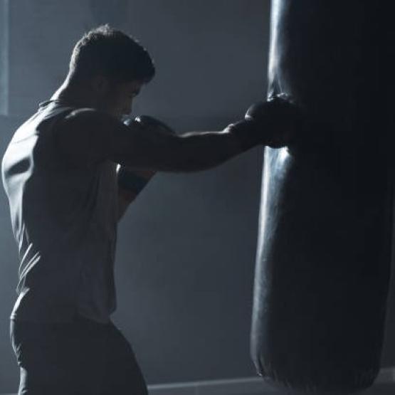 Wolf Boxing Shorts Pants 3D Print Fighting Training Unisex Men Women Quick Dry Fitness Gym Sport Workout Casual Streetwear