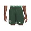 Nike Повседневные шорты Dri Fit мужские зеленые DN0736-397