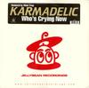 12-дюймовая пластинка KARMADELIC - Who's Crying Now JEL26331 Jellybean Recor 2001 США Танцевальная и электронная музыка Б/у