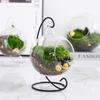 Iron Art Glass Ball Hanging Stand Retro Iron Display Stand Ecological Bottle Stand  Vase