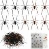 3D Spider Fridge Magnets 10pcs Realistic for Refrigerator Car Garage