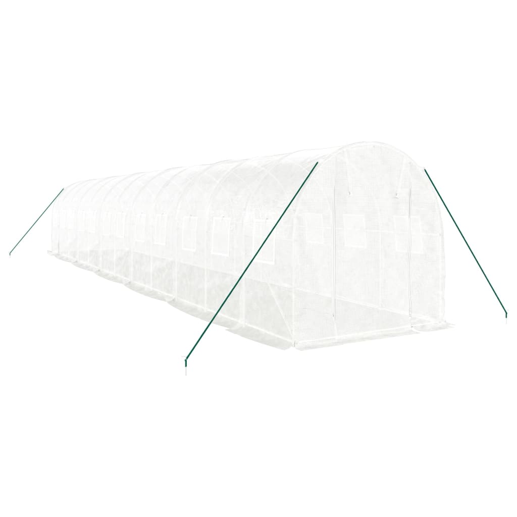 Greenhouse with Steel Frame White 24 m² 12 x 2 x 2 m