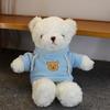 Очаровательная плюшевая игрушка Мишка Тедди - Кукла-мягкая игрушка для подарка на день рождения детям