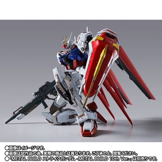 BANDAI SPIRITS METAL BUILD Ale Striker BUILD 10th -METAL Ver.-