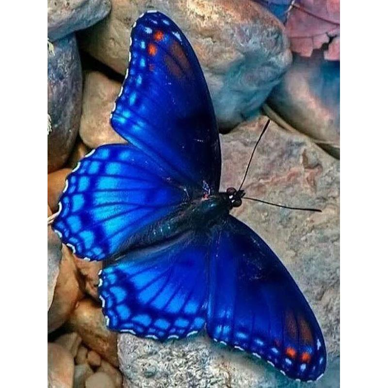 DIY Diamond Embroidery 5D Diamond Painting Butterfly Diamond Mosaic Cross Stitch Kits Rhinestones Wall Art Home Decor Gift